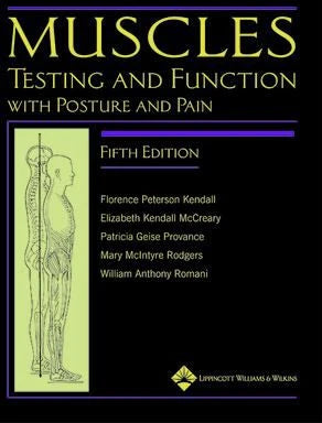 Muscles: Testing &amp; Function