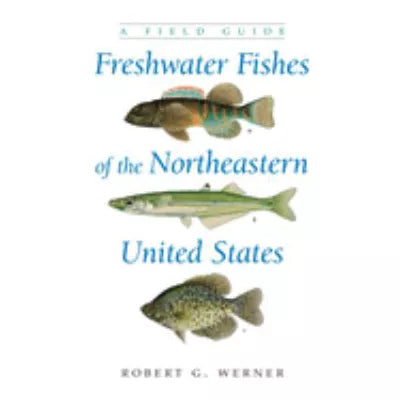 Freshwater Fishes of the Northeastern United State